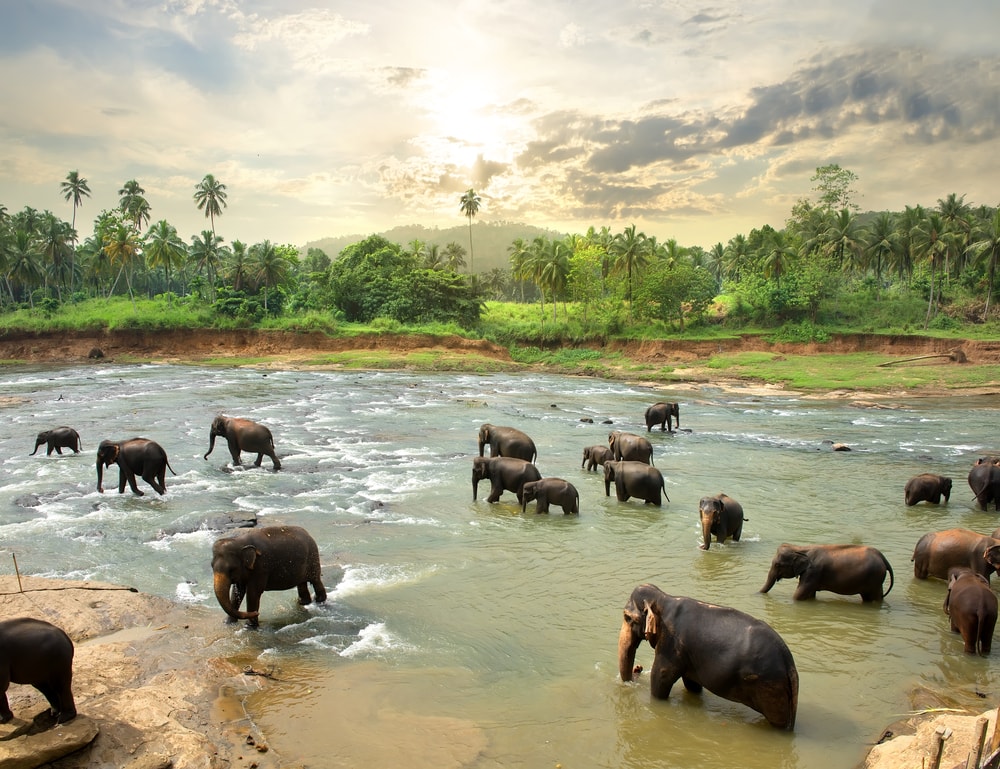 sri lanka